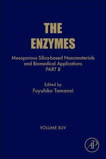 Front cover_Mesoporous Silica-based Nanomaterials And Biomedical Applications - Part B