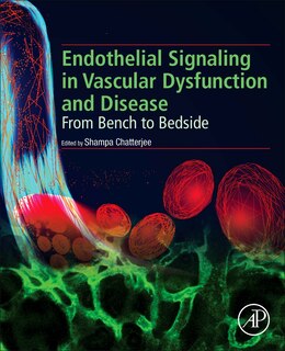Front cover_Endothelial Signaling In Vascular Dysfunction And Disease