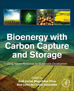 Couverture_Bioenergy With Carbon Capture And Storage