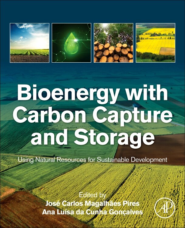 Couverture_Bioenergy With Carbon Capture And Storage