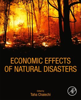 Couverture_Economic Effects Of Natural Disasters