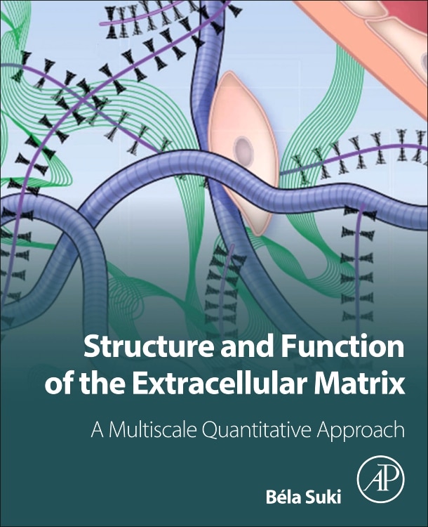 Couverture_Structure And Function Of The Extracellular Matrix