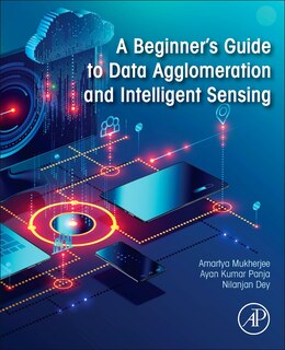 Couverture_A Beginner's Guide To Data Agglomeration And Intelligent Sensing