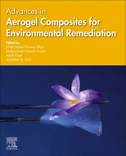 Couverture_Advances In Aerogel Composites For Environmental Remediation