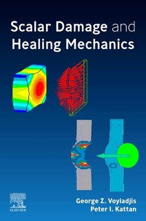Couverture_Scalar Damage And Healing Mechanics