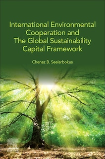 Front cover_International Environmental Cooperation And The Global Sustainability Capital Framework