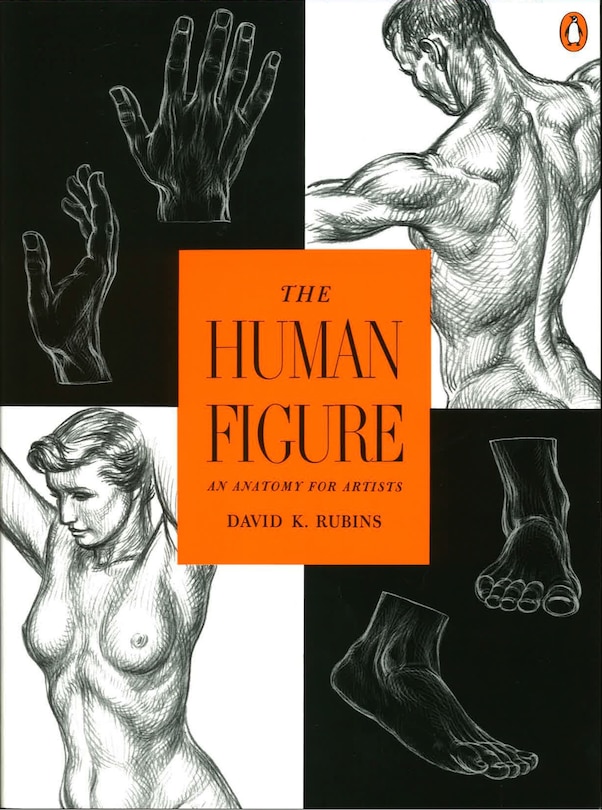 Couverture_The Human Figure