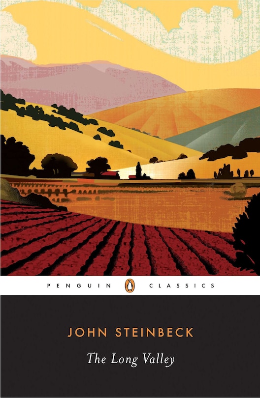 Front cover_The Long Valley