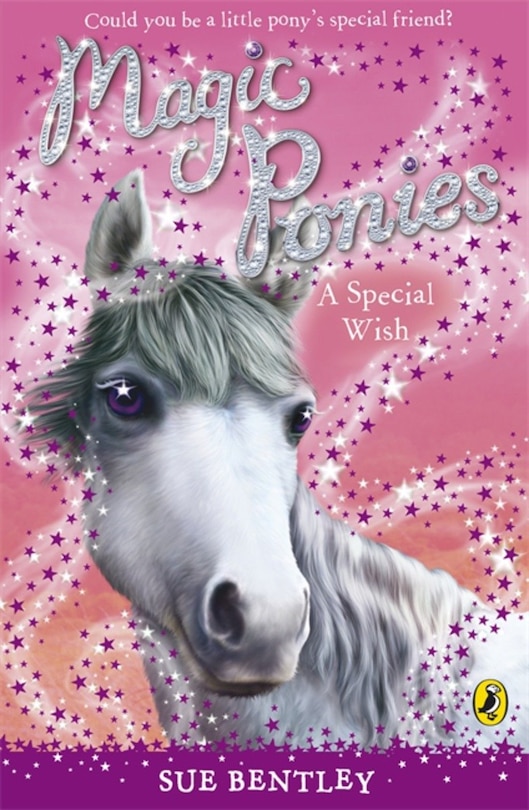 Front cover_Magic Ponies A Special Wish
