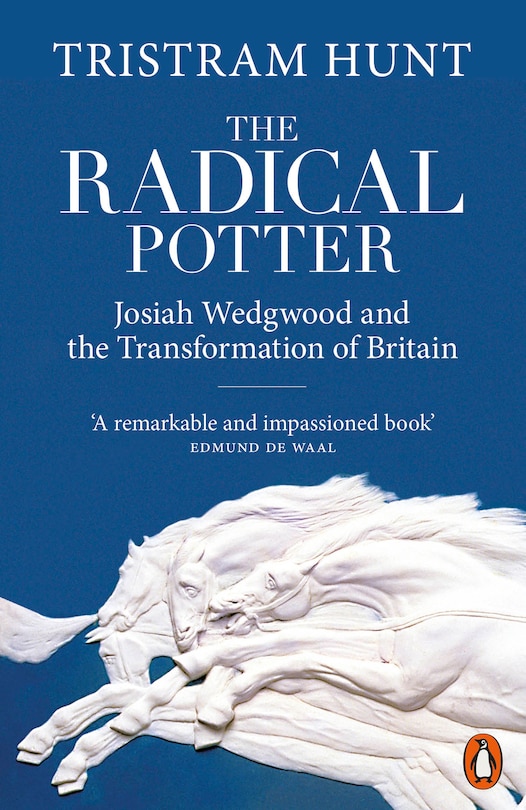 Couverture_The Radical Potter
