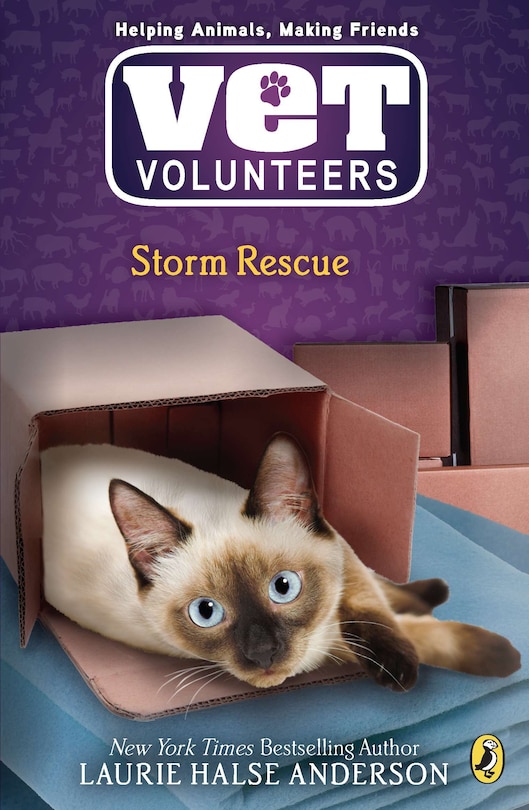Front cover_Storm Rescue
