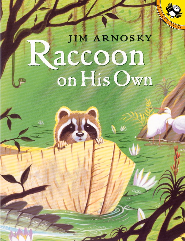 Couverture_Raccoon On His Own