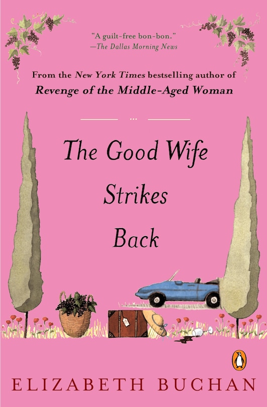 Couverture_The Good Wife Strikes Back