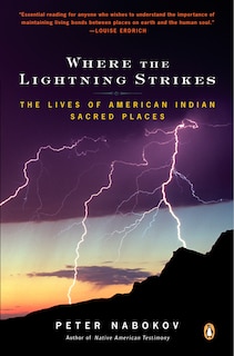 Couverture_Where The Lightning Strikes
