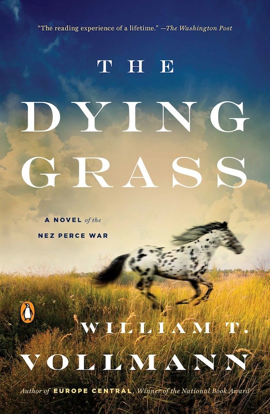 Front cover_The Dying Grass