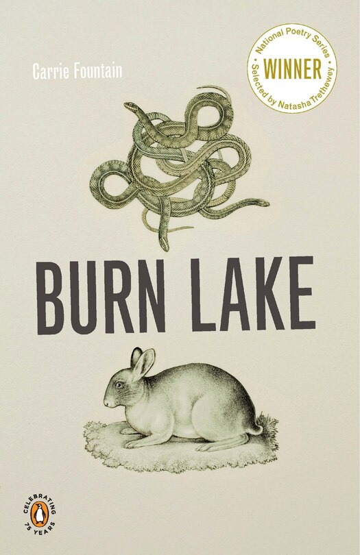 Couverture_Burn Lake