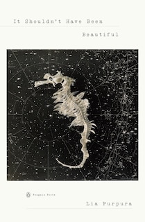 Couverture_It Shouldn't Have Been Beautiful