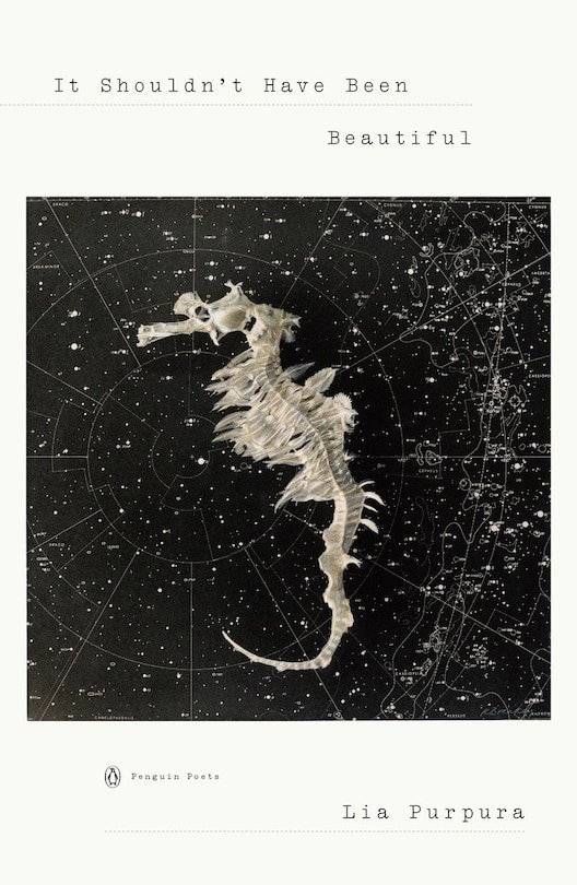 Couverture_It Shouldn't Have Been Beautiful