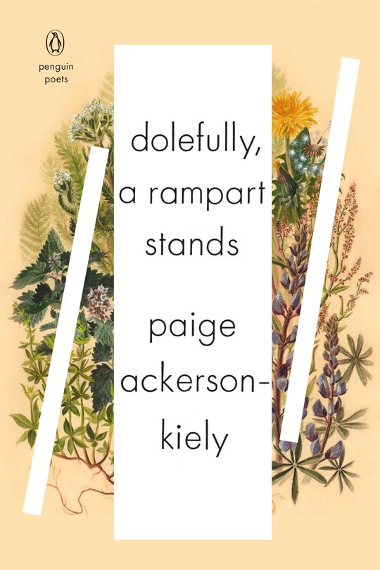 Couverture_Dolefully, A Rampart Stands