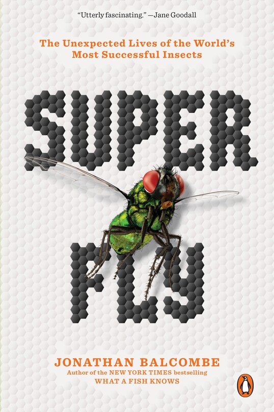 Front cover_Super Fly