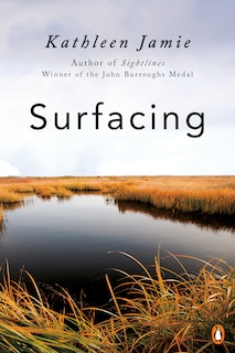 Couverture_Surfacing
