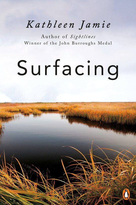 Couverture_Surfacing