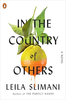 Front cover_In The Country Of Others