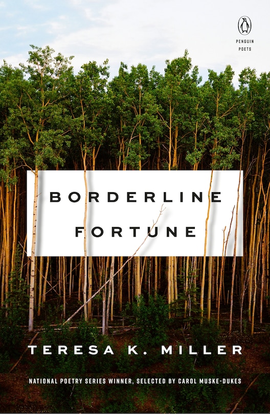 Front cover_Borderline Fortune