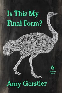 Front cover_Is This My Final Form?