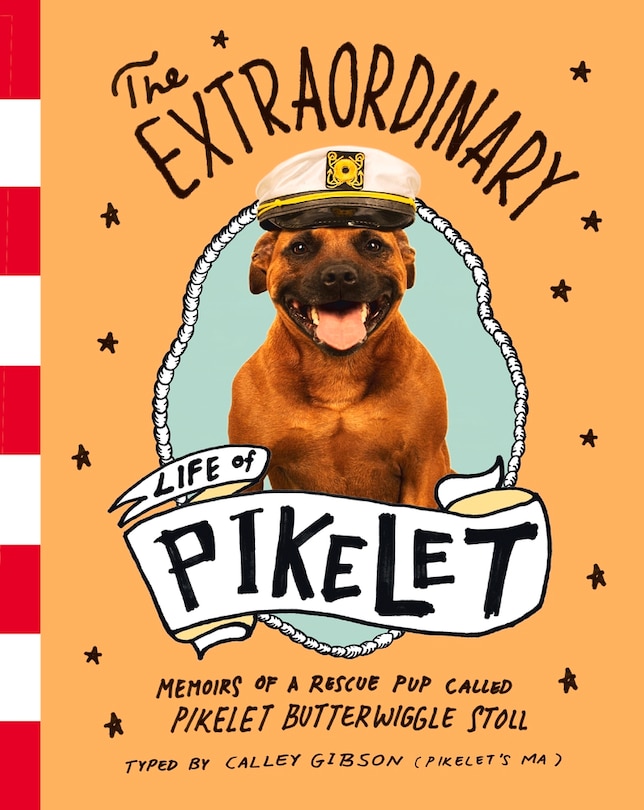 Front cover_The Extraordinary Life of Pikelet