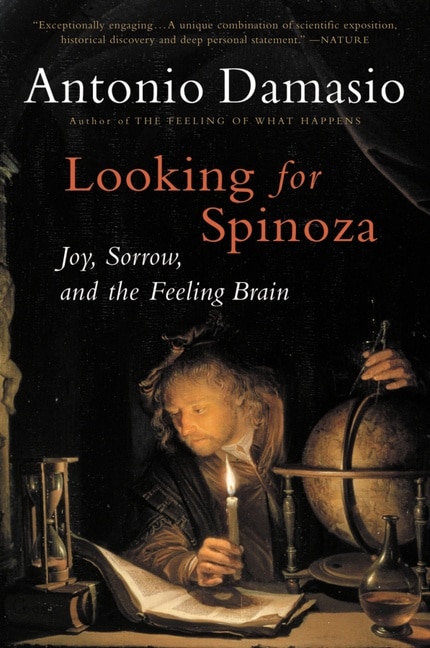 Front cover_Looking For Spinoza