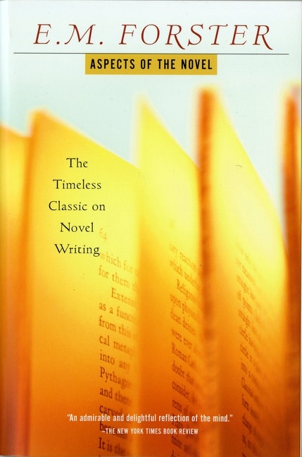 Couverture_Aspects of the Novel
