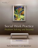 Social Work Practice: Problem Solving And Beyond