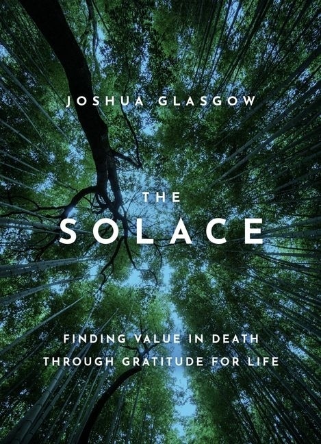 Couverture_The Solace