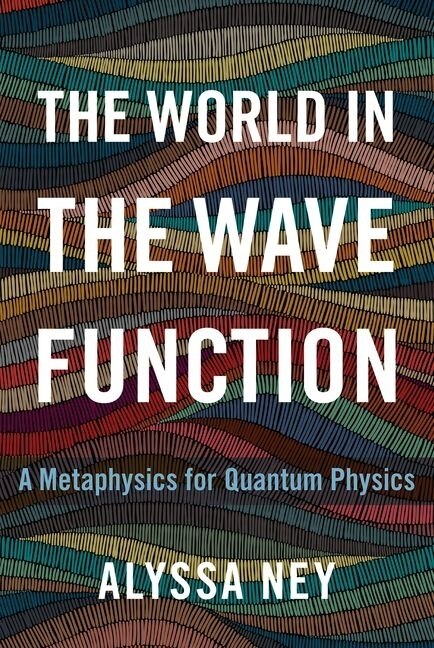 Couverture_The World In The Wave Function