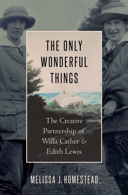 Front cover_The Only Wonderful Things