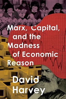 Front cover_Marx, Capital, and the Madness of Economic Reason