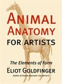 Front cover_Animal Anatomy for Artists