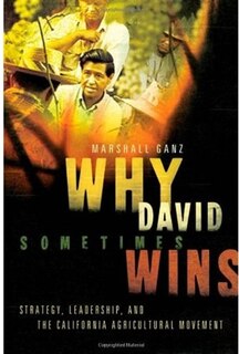 Couverture_Why David Sometimes Wins