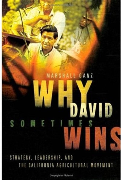 Couverture_Why David Sometimes Wins