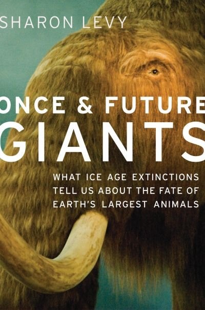 Couverture_Once and Future Giants