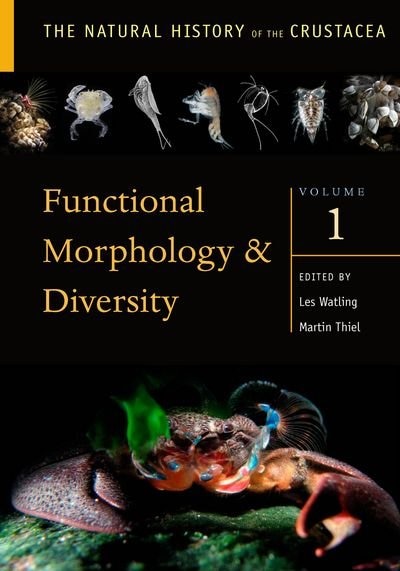 Couverture_Functional Morphology and Diversity