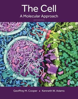 Front cover_The Cell