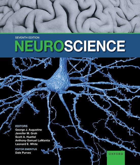 Fundamental Neuroscience - 3rd Edition | Elsevier Shop