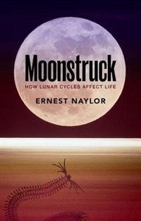 Front cover_Moonstruck