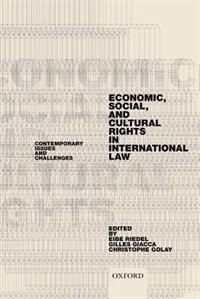 Front cover_Economic, Social, and Cultural Rights in International Law