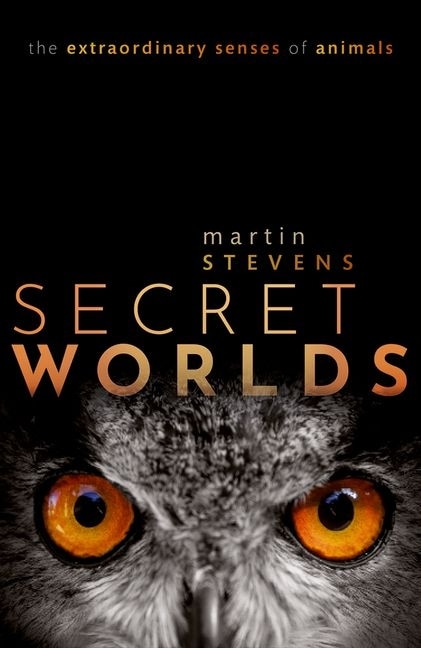 Couverture_Secret Worlds
