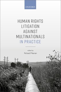 Front cover_Human Rights Litigation Against Multinationals In Practice