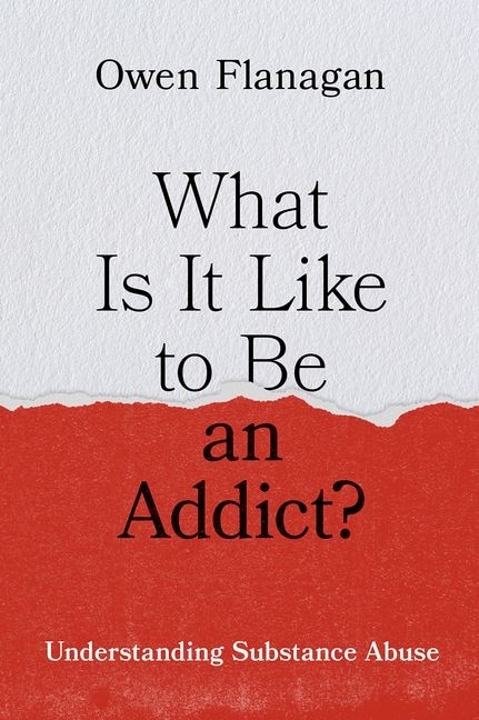 Front cover_What Is It Like to Be an Addict?