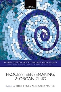 Front cover_Process, Sensemaking, and Organizing